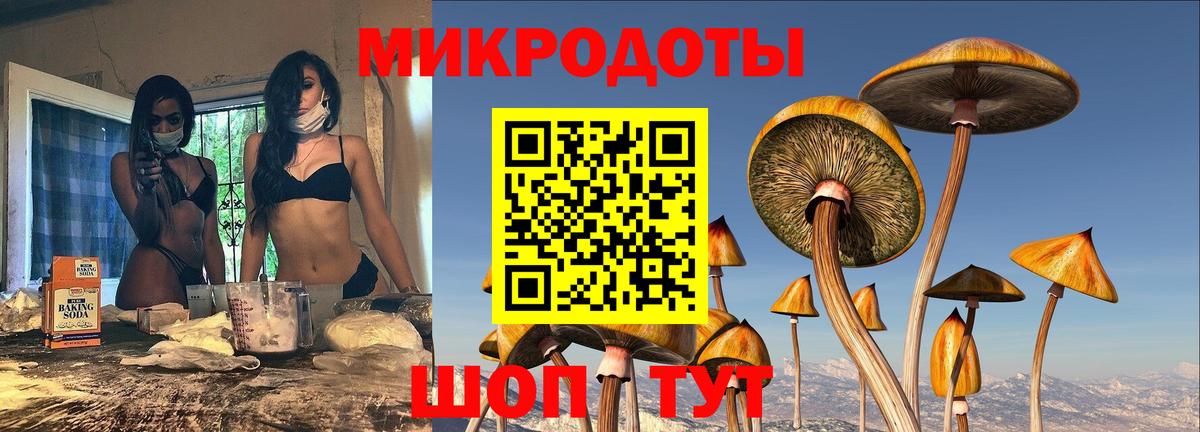 Псилоцибиновые грибы MAGIC MUSHROOMS  Вход с VPN  Дятьково  Галлюциногенные грибы Magic Shrooms 