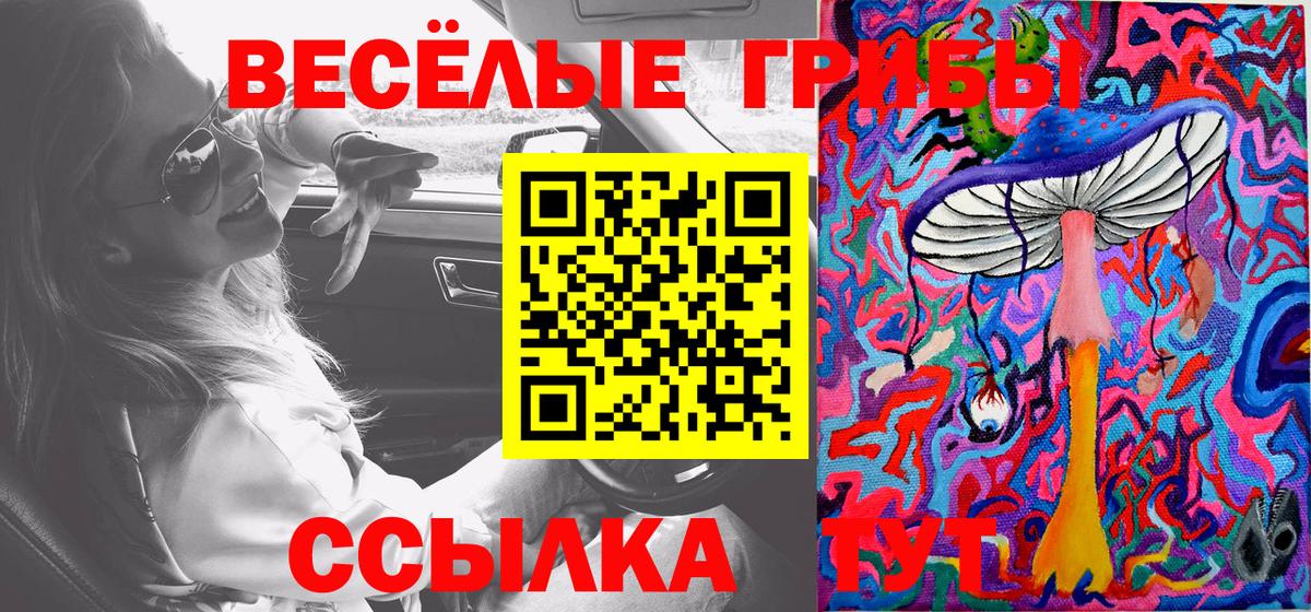 Псилоцибиновые грибы Psilocybe Дятьково